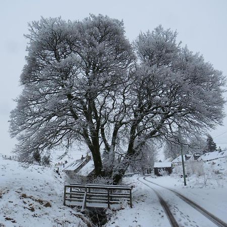 Forget Me Not Cottage Leadhills Екстериор снимка